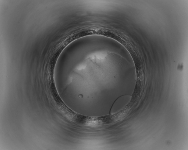 X0000090870754200707271250