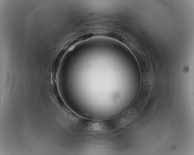 X0000090870755200707271250