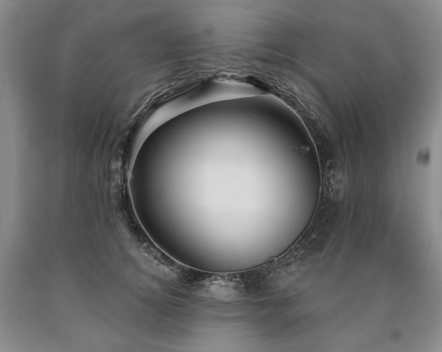 X0000090870756200707271250