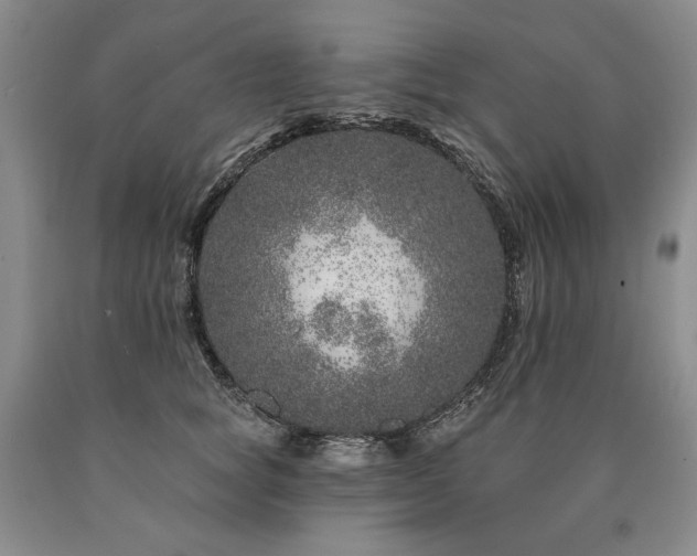 X0000090870757200707271250