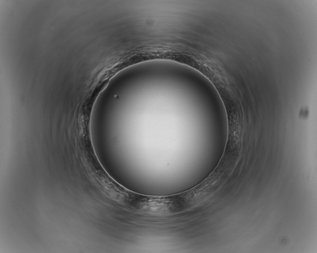 X0000090870758200707271250