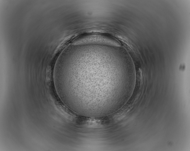 X0000090870760200707271250