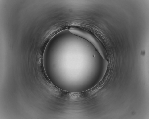 X0000090870762200707271250