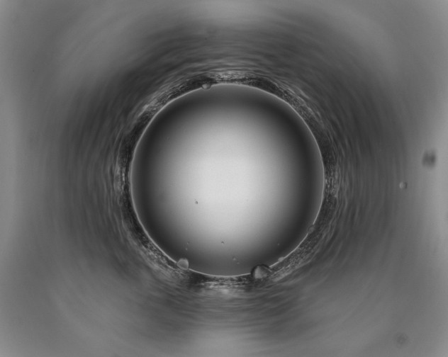 X0000090870763200707271250