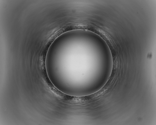 X0000090870764200707271250