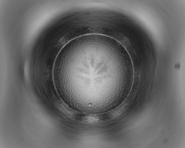 X0000090870765200707271250