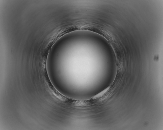 X0000090870766200707271250