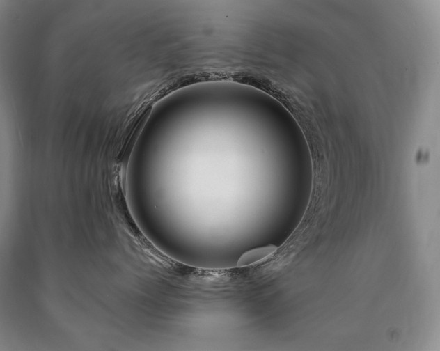 X0000090870768200707271250