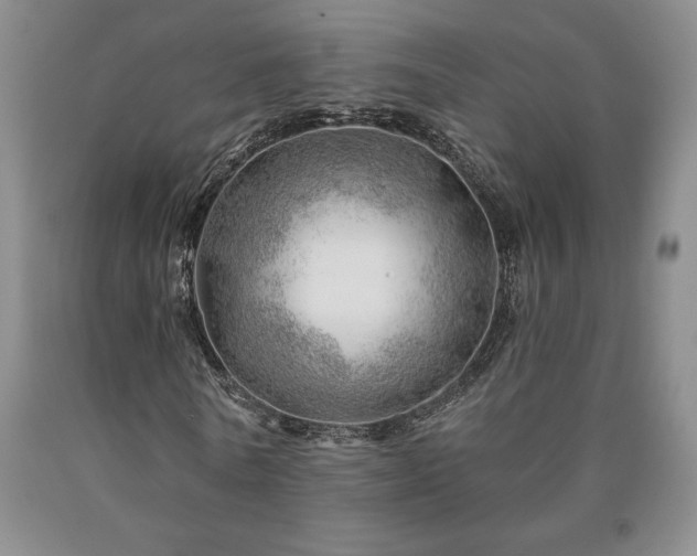 X0000090870770200707271249