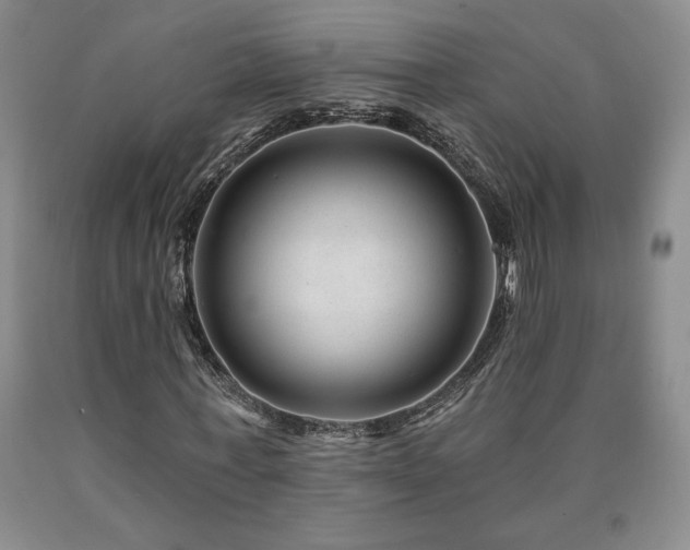 X0000090870771200707271249