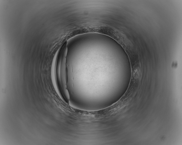 X0000090870772200707271249