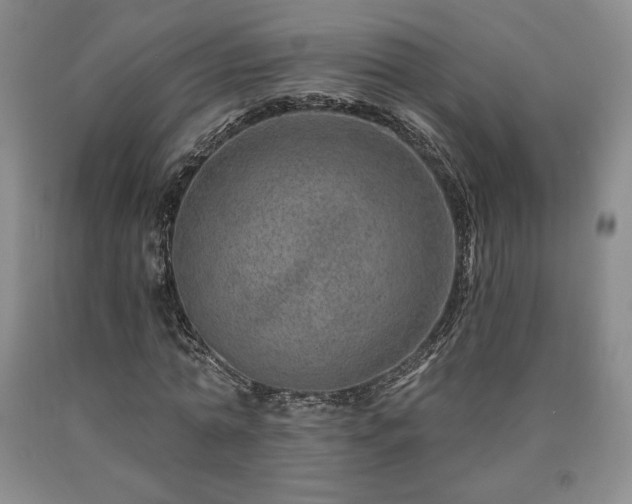 X0000090870774200707271249