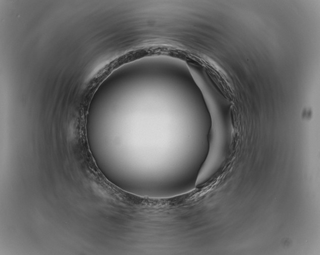 X0000090870775200707271249