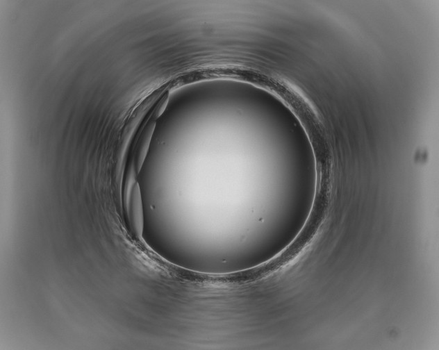 X0000090870777200707271249