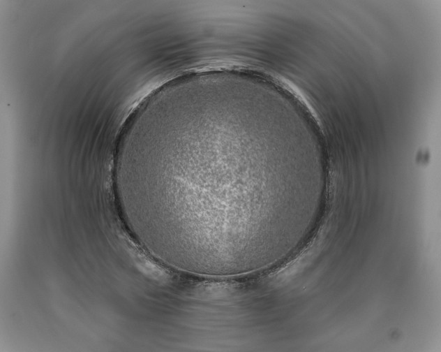 X0000090870778200707271249