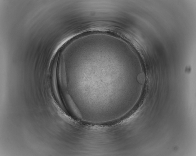 X0000090870779200707271249