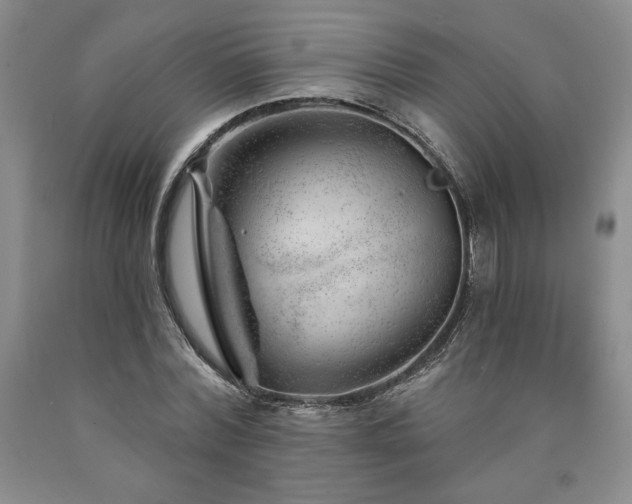 X0000090870780200707271249