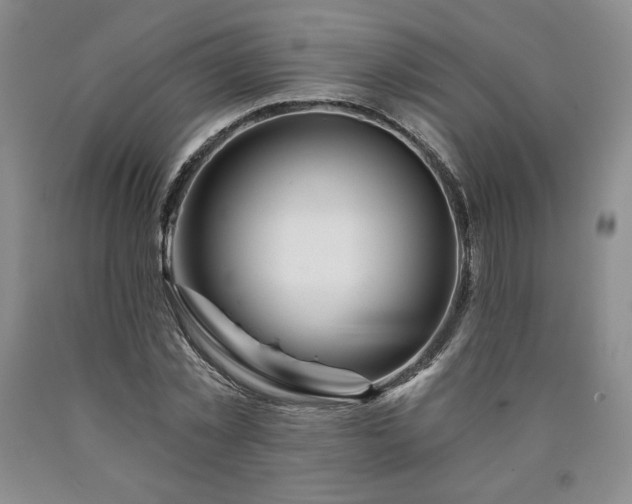 X0000090870781200707271249