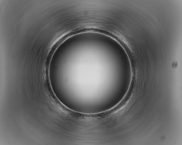 X0000090870782200707271249