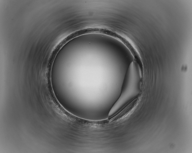 X0000090870783200707271249