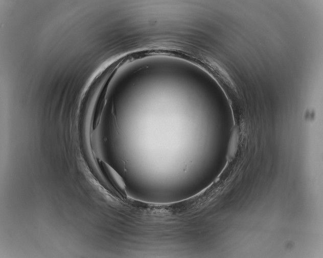 X0000090870784200707271249