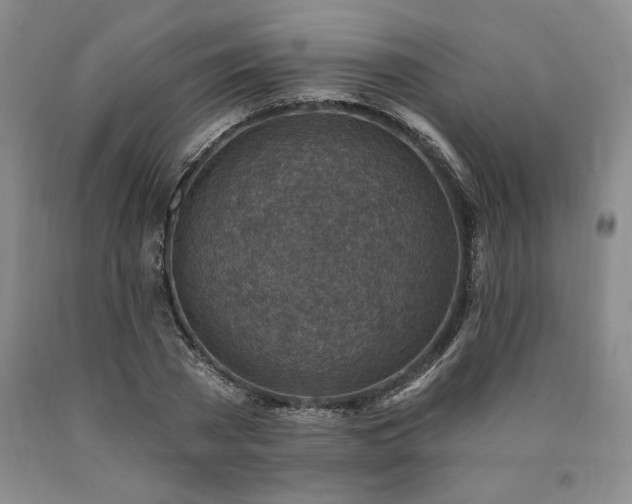 X0000090870785200707271249