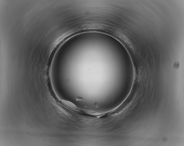 X0000090870786200707271249