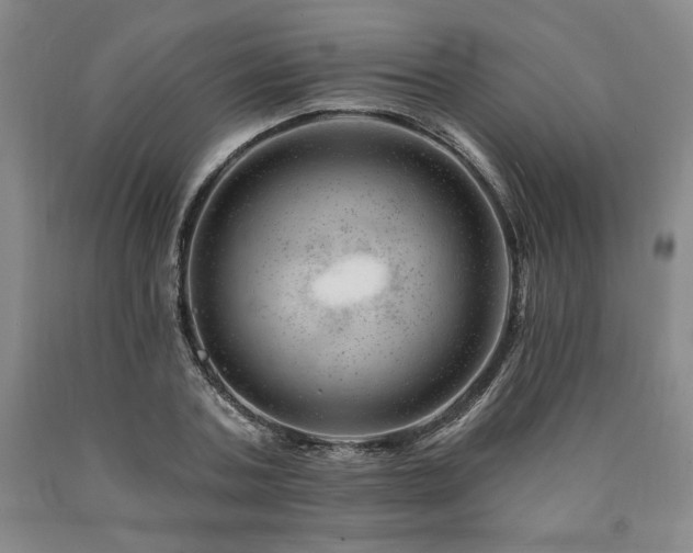 X0000090870787200707271249