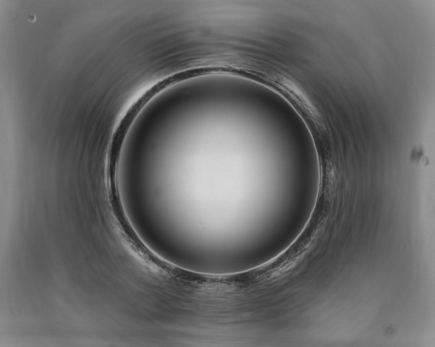 X0000090870788200707271249