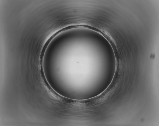 X0000090870789200707271249