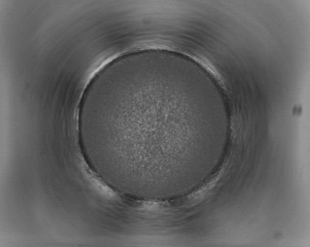 X0000090870790200707271249