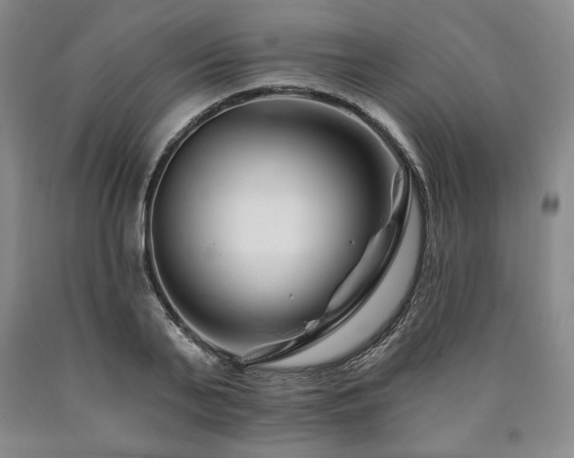 X0000090870791200707271249