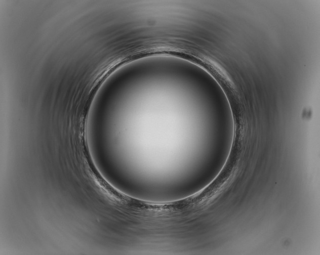 X0000090870793200707271249