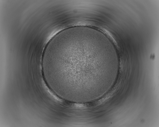 X0000090870794200707271249