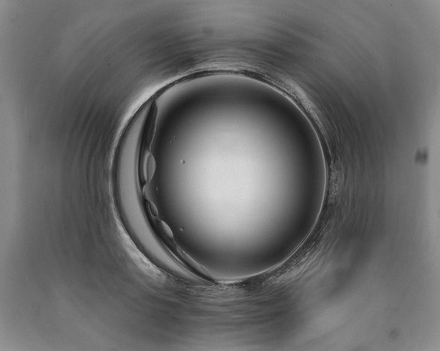 X0000090870795200707271249