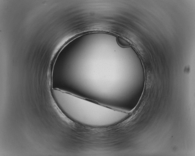 X0000090870796200707271249