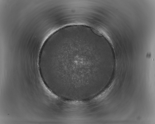 X0000090870797200707271249