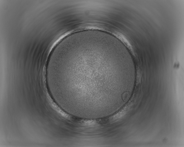 X0000090870798200707271249