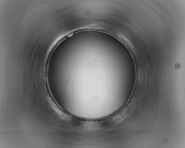 X0000090870800200707271249