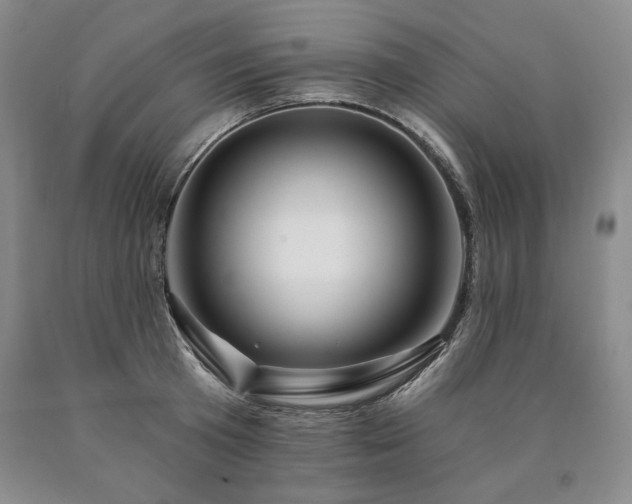 X0000090870801200707271249