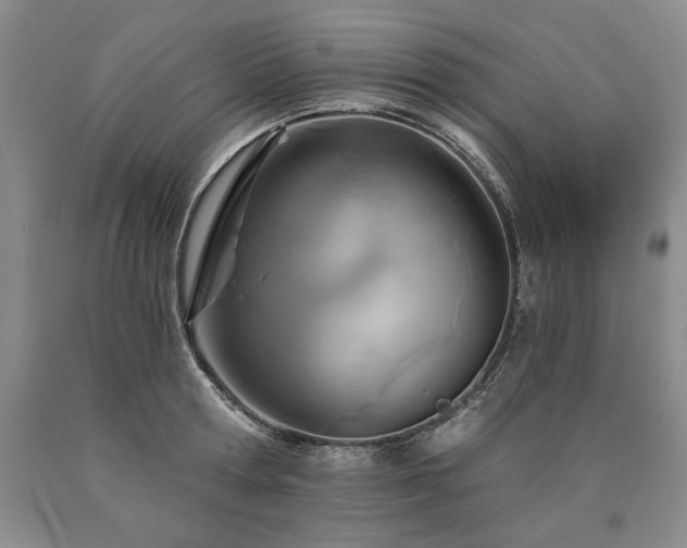 X0000090870802200707271249