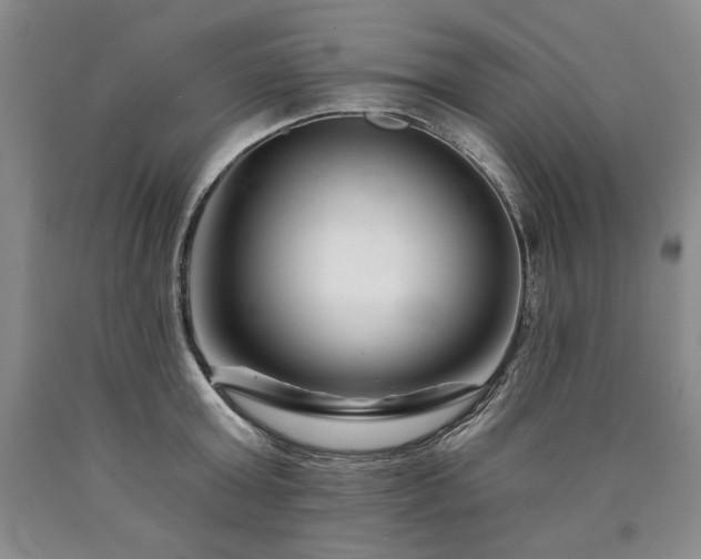 X0000090870803200707271249