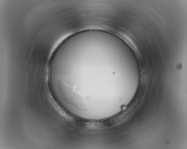 X0000090870804200707271249