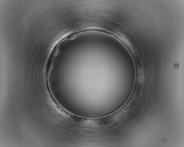 X0000090870806200707271249