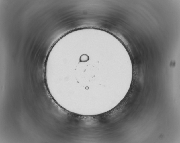 X0000090870807200707271249