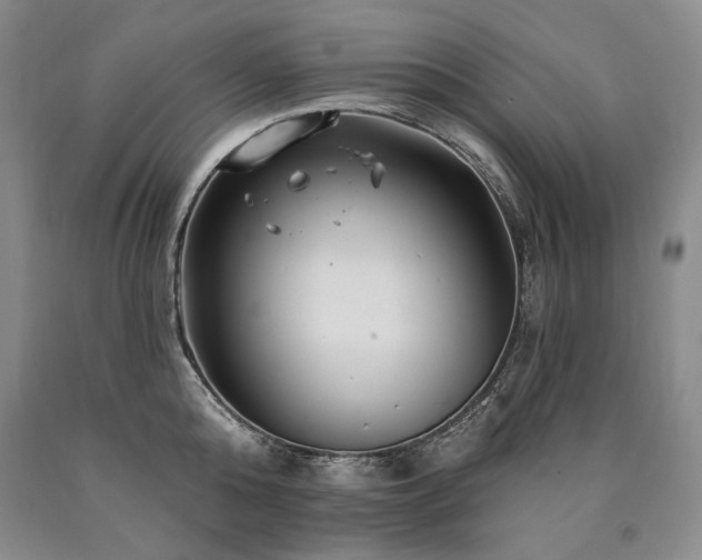 X0000090870808200707271249