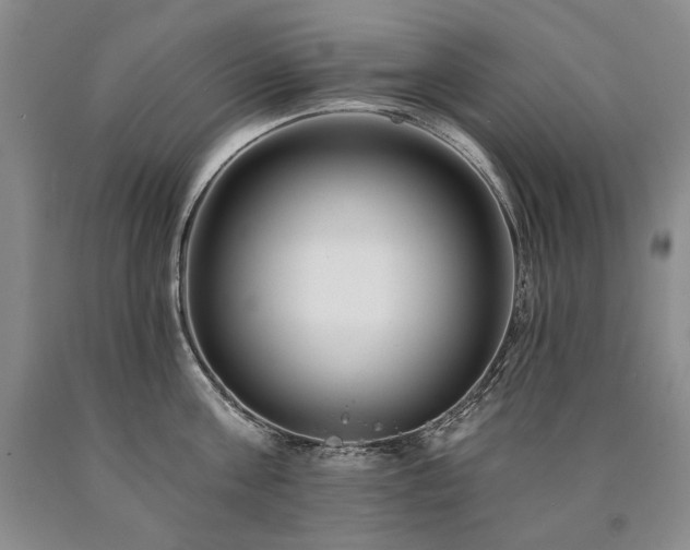 X0000090870811200707271249