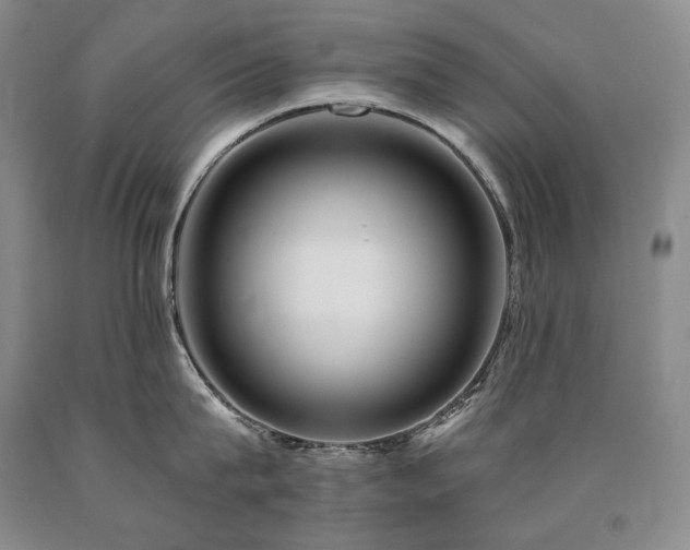 X0000090870815200707271249