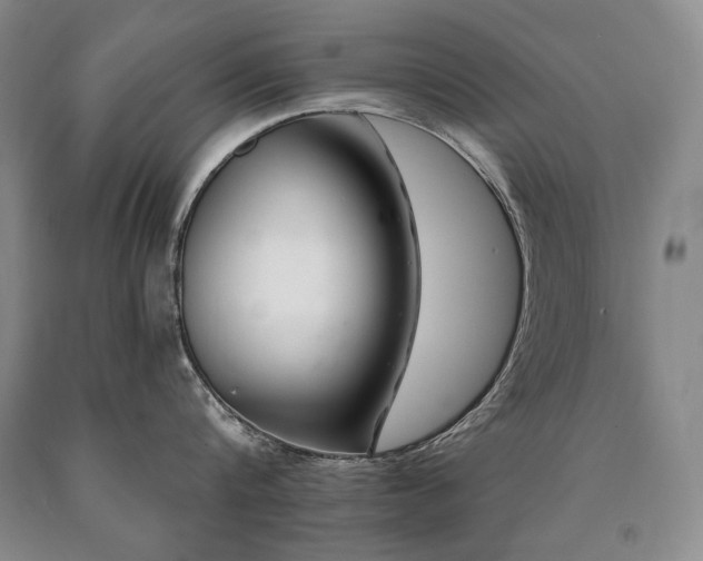 X0000090870816200707271249