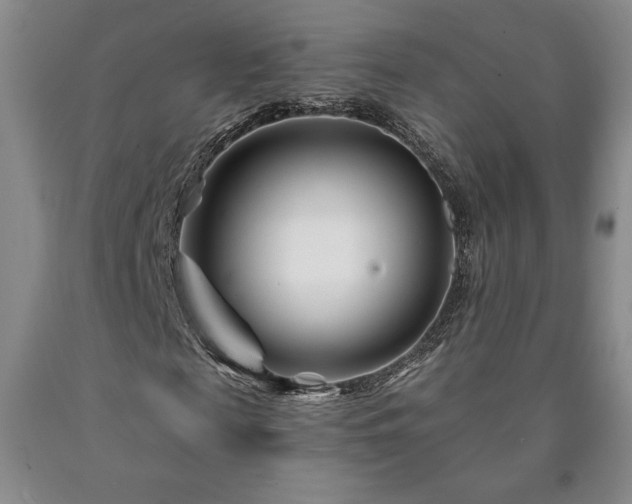 X0000090870817200707271248